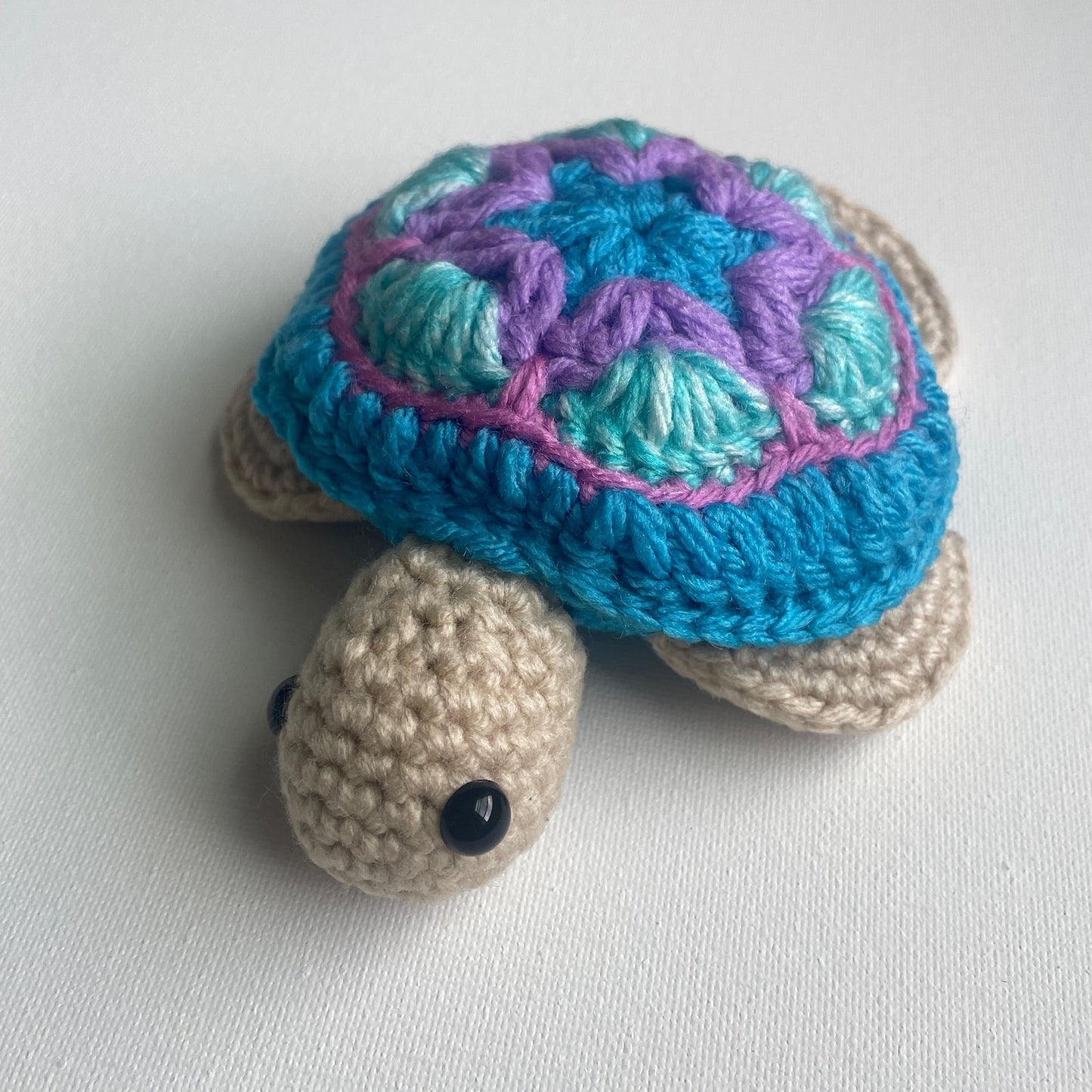 Timmy the Turtle