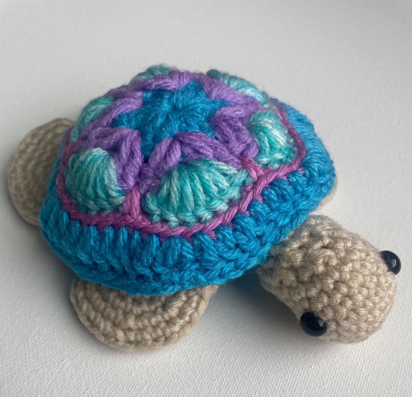 Timmy the Turtle