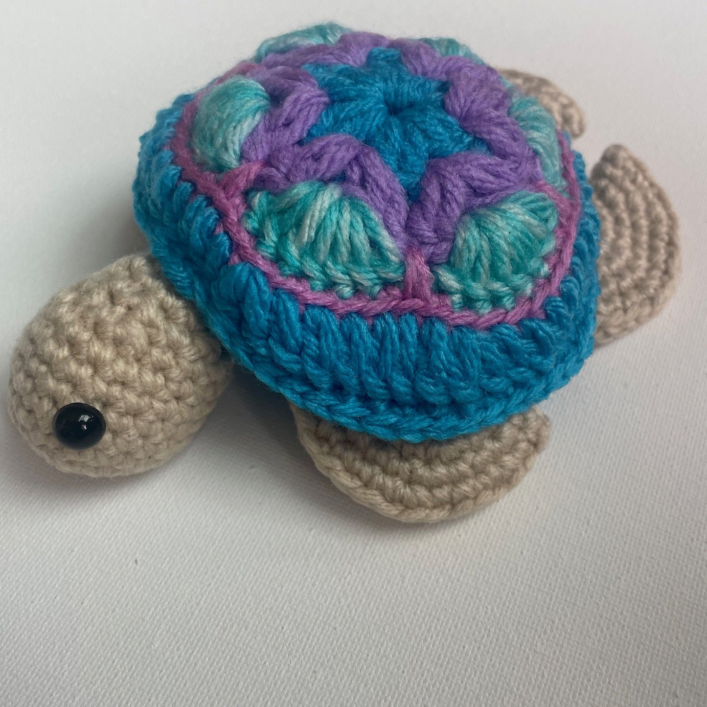 Timmy the Turtle