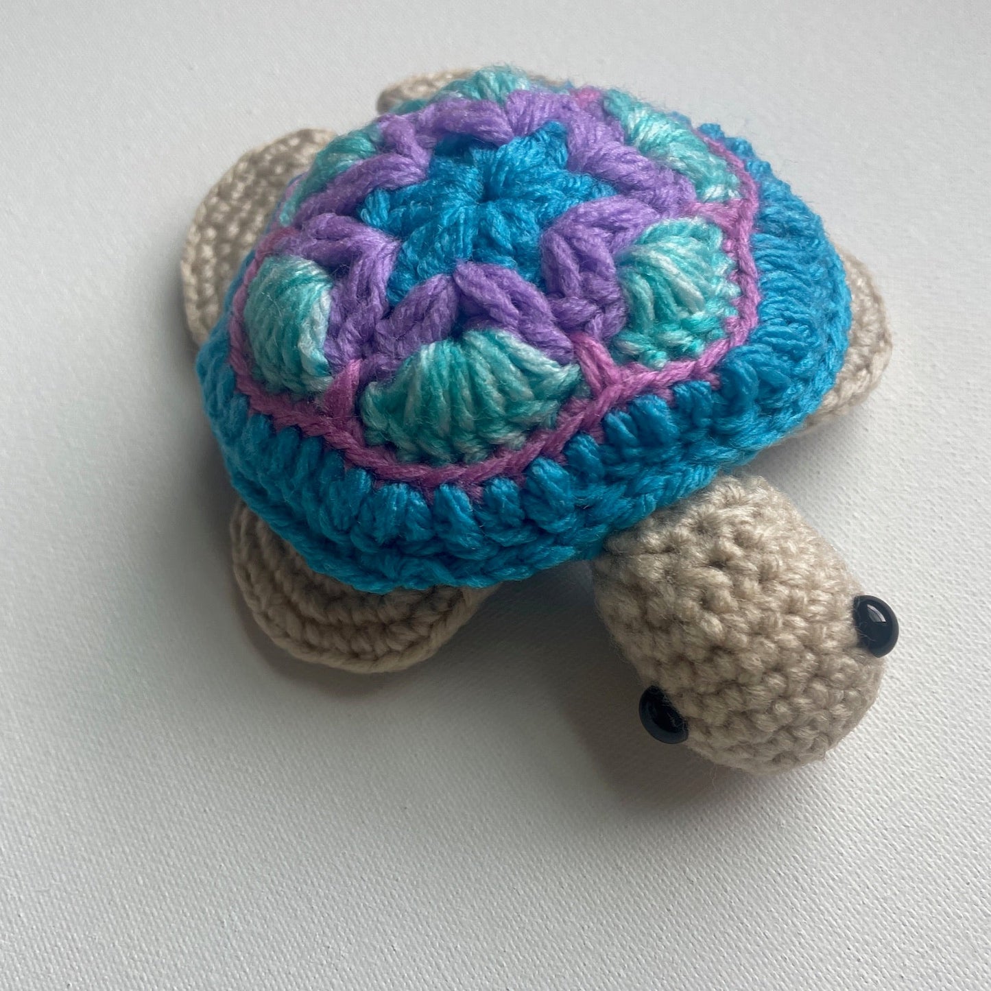 Timmy the Turtle