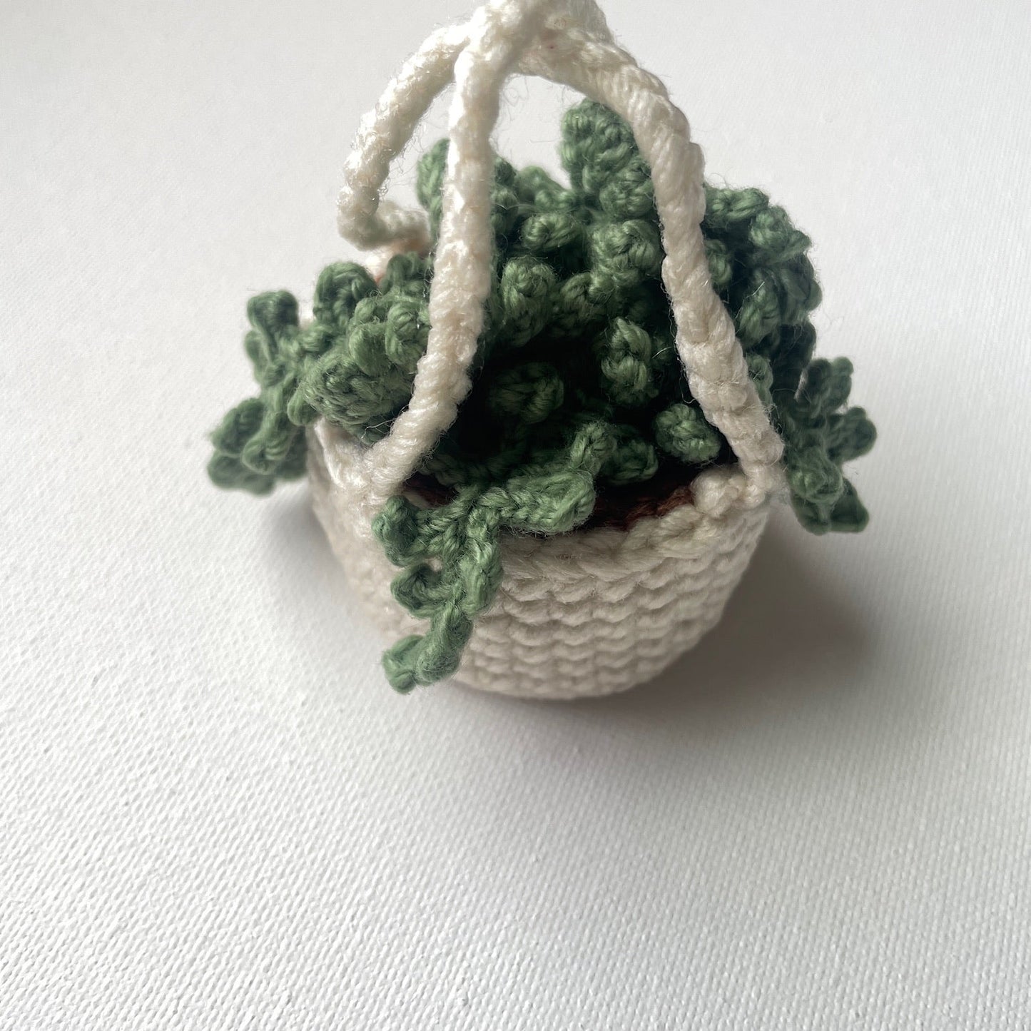 Teeny Greeny the Plant