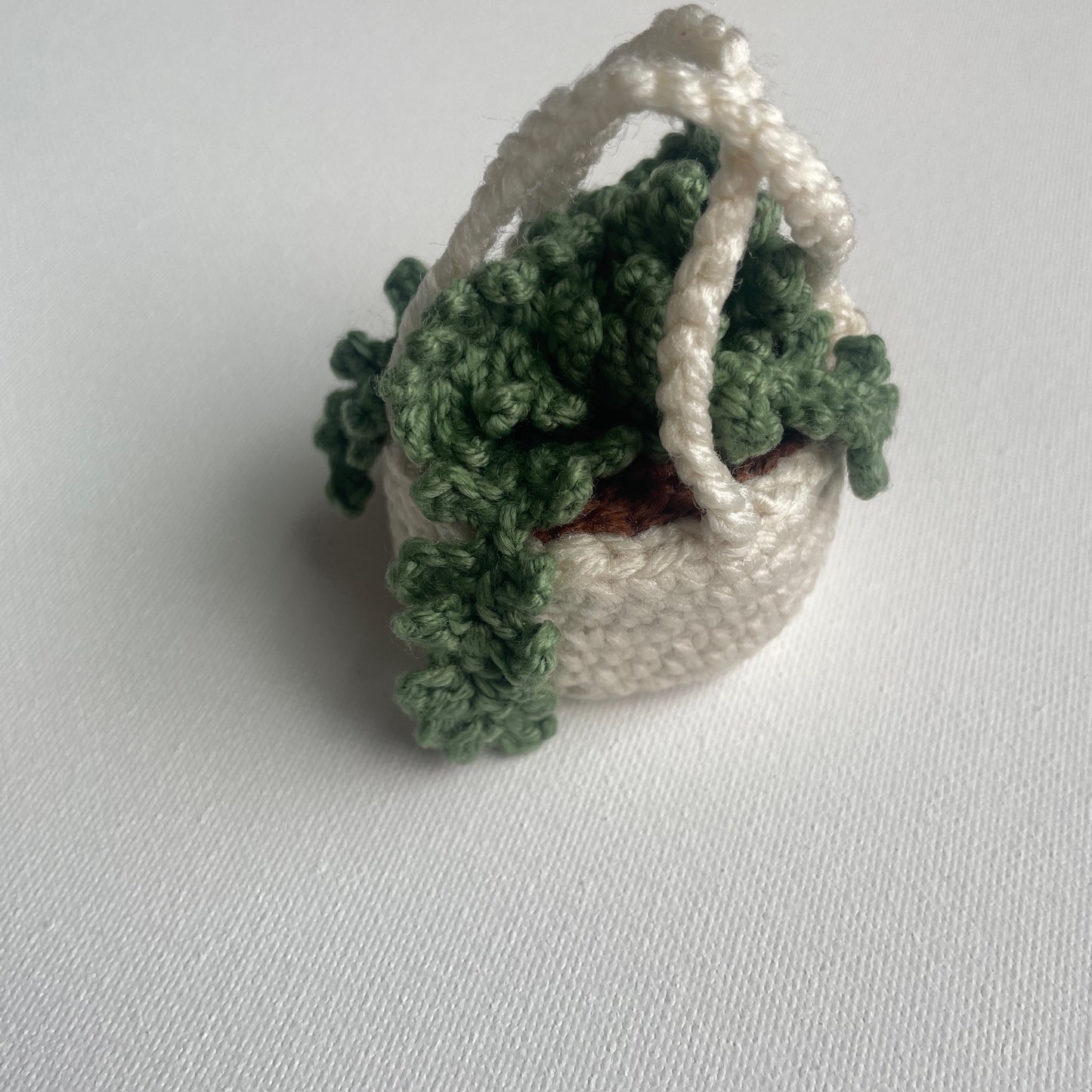 Teeny Greeny the Plant