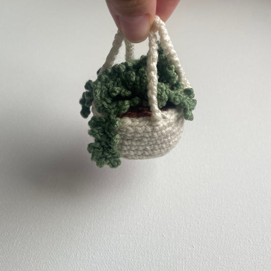 Teeny Greeny the Plant